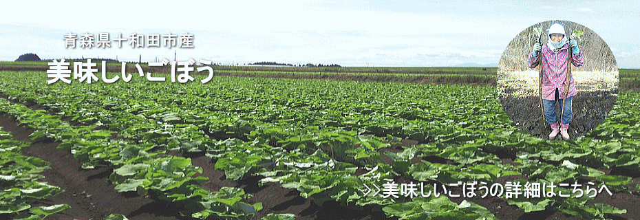 美味しいごぼう