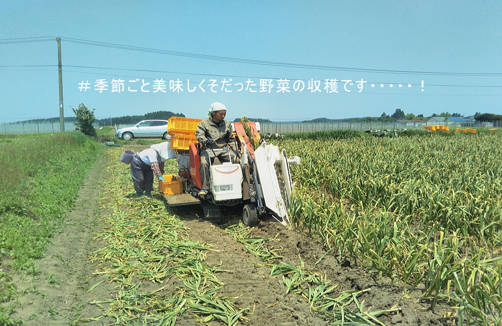 華畑農園 ニンニク 長芋 ゴボウを中心に栽培からインターネットの通じて販売も行っています 華畑農園 ニンニク 長芋 ゴボウを中心に栽培からインターネットの通じて販売も行っています